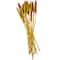 Dried Plant Bunny Tail Natural Foliage with Long Stems